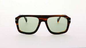 Vairons Drouot - Tiger / Light Green